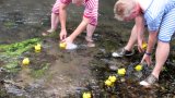 Entenrennen 2015-36