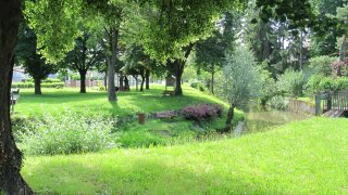 Istzustand Dorfbach 2016