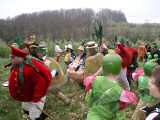 Doppelte Karottchen 2008-26