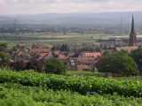Eichstetten vom Rebberg aus