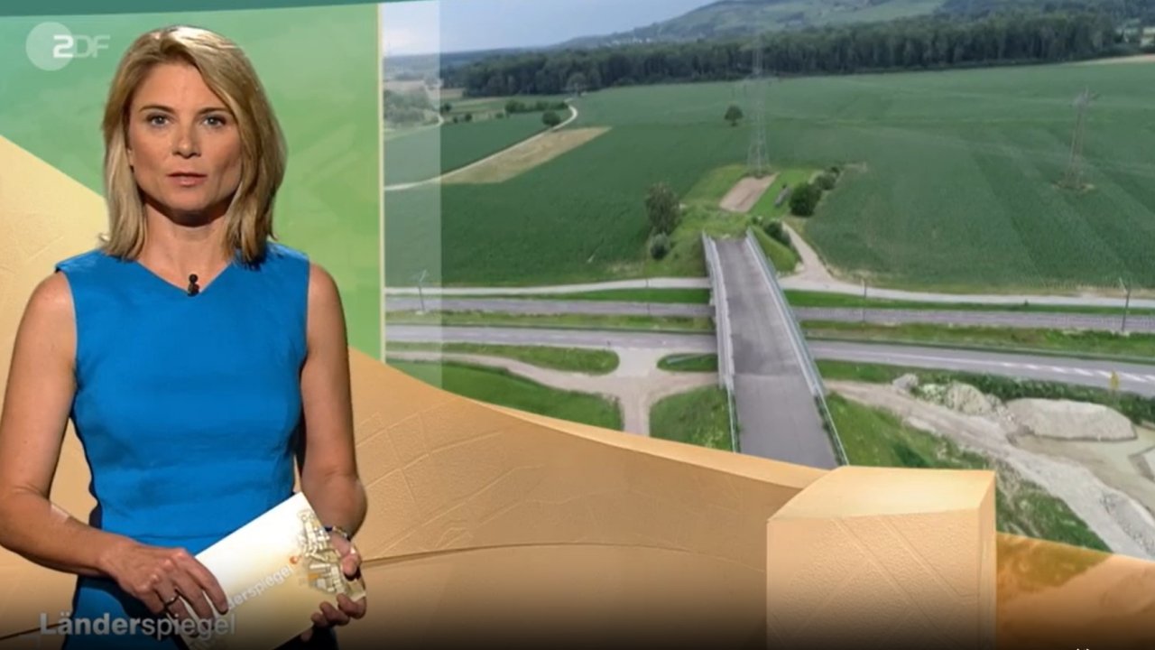 Weiter zu Videos