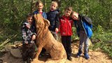Waldputzete 2017-02