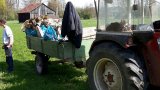 Waldputzete 2017-08