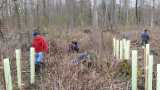 Waldtag 2023-09