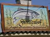 Gottenheimer Hahleraifest 2004-36