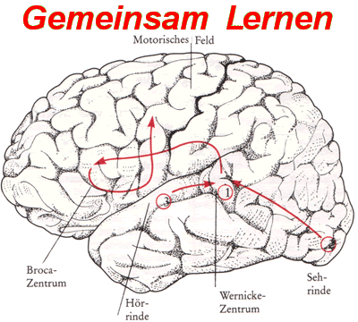 Gemeinsam@Lernen