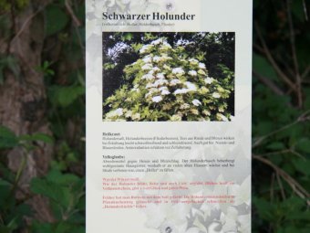 Kräuter 2008-11