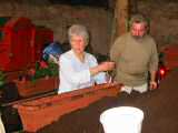 Gemeinsam Bepflanzen 2005-06