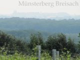 Königsgrab+Rebensaft 2010-06