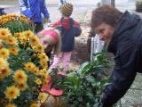 Pflanzaktion 2008-03