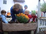 Pflanzaktion 2008-04