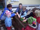 Pflanzaktion 2008-06