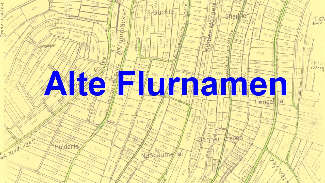 Weiter zu Flurnamen