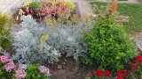 Bild Nr. 23 (20250718_090335)