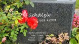 Bild Nr. 38 (20250718_090837)