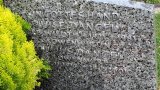 Bild Nr. 77 (20250718_092134)