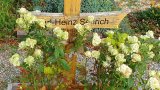 Bild Nr. 97 (20250718_092605)