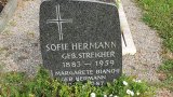 Bild Nr. 104 (20250718_092800)