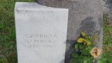 Bild Nr. 106 (20250718_092814)