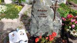 Bild Nr. 110 (20250718_092851)