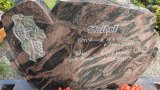 Bild Nr. 121 (20250718_093100)
