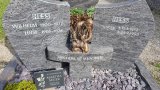 Bild Nr. 127 (20250718_093248)