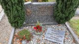 Bild Nr. 132 (20250718_093422)