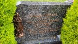 Bild Nr. 135 (20250718_093526)