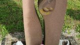 Bild Nr. 142 (20250718_093713)