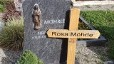 Bild Nr. 145 (20250718_093745)