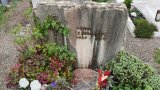 Bild Nr. 148 (20250718_093820)