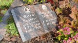 Bild Nr. 149 (20250718_093836)