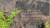 Bild Nr. 150 (20250718_093837)