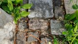 Bild Nr. 156 (20250718_094023)