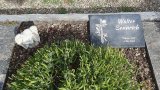 Bild Nr. 162 (20250718_094117)