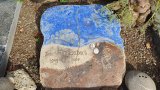 Bild Nr. 173 (20250718_094308)