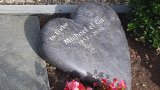 Bild Nr. 182 (20250718_094515)