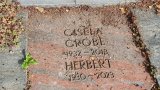 Bild Nr. 191 (20250718_094616)