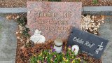 Bild Nr. 201 (20250718_094726)