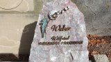 Bild Nr. 209 (20250718_094823)