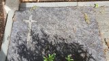 Bild Nr. 210 (20250718_094828)