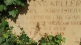 Bild Nr. 214 (20250718_094935)