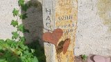 Bild Nr. 216 (20250718_094948)
