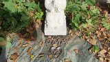 Bild Nr. 217 (20250718_095025)