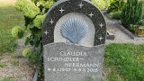 Bild Nr. 243 (20250719_091131)