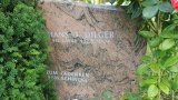 Bild Nr. 244 (20250719_091143)