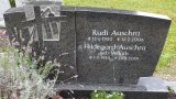 Bild Nr. 245 (20250719_091155)