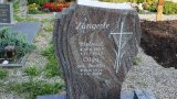 Bild Nr. 254 (20250719_091332)