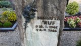 Bild Nr. 257 (20250719_091419)
