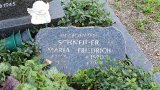 Bild Nr. 264 (20250719_091541)